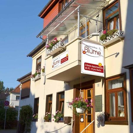Appartementhaus Blume Bad Pyrmont Kültér fotó